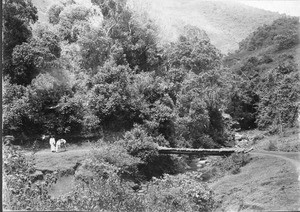 The slopes of Kilimanjaro mountain, Tanzania, ca.1901-1910