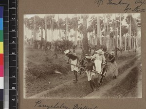 Female missionary on travels, Tamil Nadu, India, ca. 1900-1910