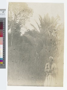 Young man next to Palms, Blantyre, Malawi, ca.1904