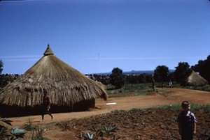 Straw house, Ngaoundéré, Adamaoua, Cameroon, 1955-1968