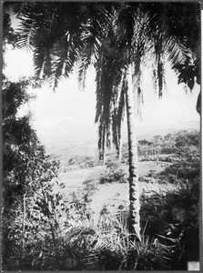 Kilimanjaro, Tanzania, ca. 1927-1938