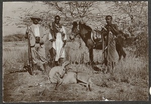 European man and two Africans with killed antelope, Tanzania, ca.1900-1910