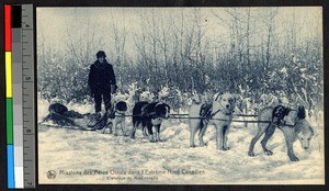 Missionary father with sled dog team amid low brush, Canada, ca.1920-1940