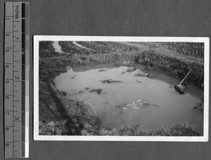 Corpses in pond following Nanjing Massacre, Nanjing, China,ca.1937-1938