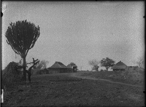 Mozambican village, Catuane, Mozambique, ca. 1901-1907