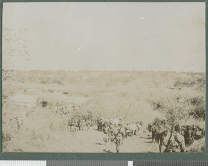 British column returning north, Cabo Delgado, Mozambique, August 1918