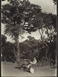 The copse in front of Wildeck