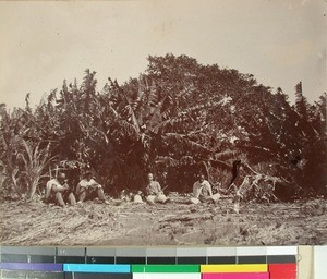 Men taking a rest while hunting, Soatanana, Madagascar, ca.1906