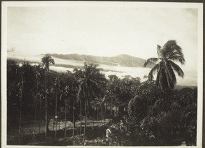 Blick vom Kirchturm auf Kamerunberg. Im Vordergrund botan. Garten