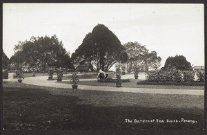 "The Garden of Tea. Kiosk. Penang."