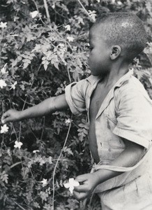 Boy, in Cameroon