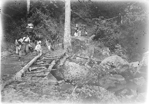 People crossing a log bridge, Tanzania, ca.1893-1920