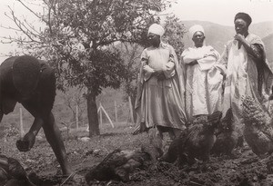 Seidou Njimoluh Njoya with two men, in Cameroon