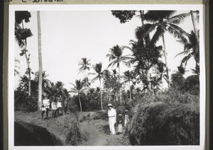 Path from the mission house in Chombala to the sea (Malabar)