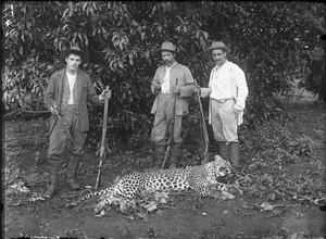 Swiss missionaries with a killed leopard, Lemana, Limpopo, South Africa, ca. 1906-1907