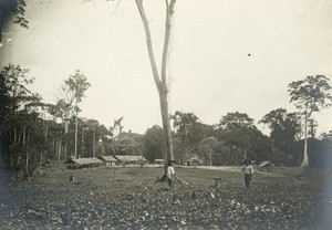 Plantation in a mission station, in Gabon