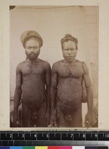 Portrait of Lohia, inland chief, and son, Papua New Guinea, ca. 1890