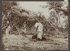 Horn blower, Tanzania