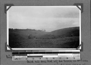 Coffee plantation of the settler Pfeifer, Rutenganio, Tanzania, ca.1929-1930