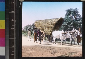 Cart drawn by two bullocks, Sri Lanka, s.d