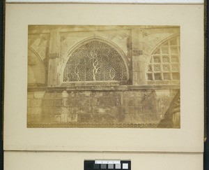 Window in Siddi Sayid Mosque, Ahmedabad, ca.1900-1929