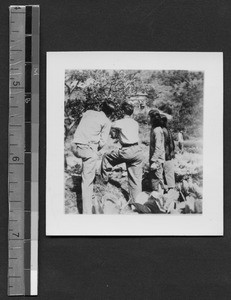 Lab work with apple trees at Fukien Christian University, Fuzhou, Fujian, China, ca.1948