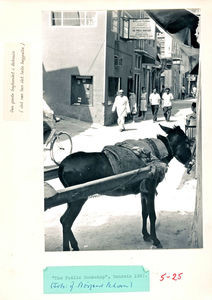 The Public Bookshop. Den gamle boghandel i Bahrain - det var her det begyndte.1967 -