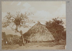 Round house with drooped plant fiber roof, man sitting in front