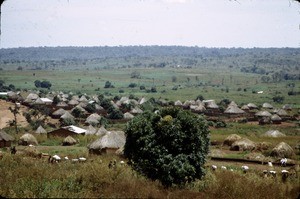 Landscape, Meiganga, Adamaoua, Cameroon, 1953-1968