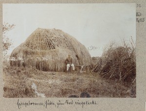 Indigenous hut, partly covered, ca.1900-1914