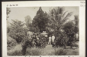 Anlage beim Gebäude der Plantagendirektion in Botha