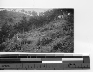 A tomb at Dongzhen, China, 1921