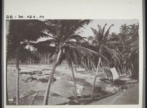 Am Strand bei Mount Lavinia, Ceylon