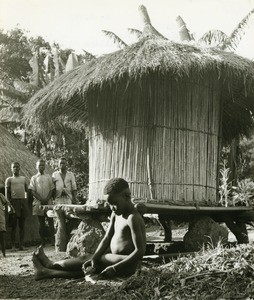 Mambila loft for millet, village of Atta, in Cameroon