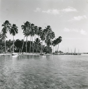 A beach in French Polynesia