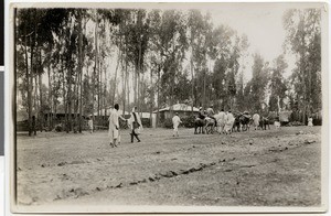 Departure of the mission caravan, Addis Abeba, Ethiopia, 1928