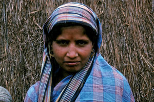 Diasserie "BLC - ung kirke i Bangladesh" - At være kristen i Bangladesh, Nr. 18 - Før skændtes min kone og jeg tit. Sådan er det altid blandt hinduer. Men gennem den oplæring, vi har fået i kristendommen, er det blevet meget bedre. Min kone siger: "Før tog han sig ikke af mig. Jeg eksisterede nærmest ikke for ham. Hinduer skal naturligvis også være ordentlige mod hinanden, men det havde vi aldrig rigtig fået oplæring i."