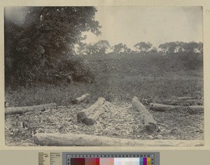 Preparing logs for carpentry, Livingstonia, Malawi, ca.1903