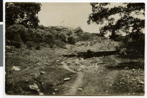 Caravan in woody landscape, Ethiopia, 1928