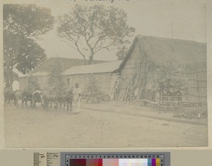 Livingstonia buildings, Malawi, ca.1903