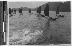 Small Chinese sail boats in river, Hong Kong, China, ca.1920