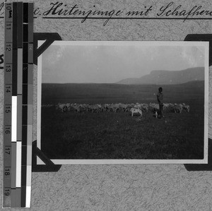 A shepherd boy with a herd of sheep, Tabase, South Africa East, 1932