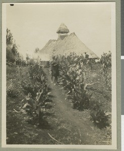 Original mud and wattle church, Chogoria, Kenya, ca.1924