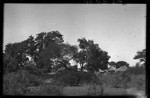 Landscape between Guijá and Pafuri, Mozambique, 1947