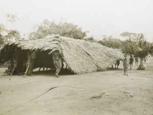 Carrying a roof, Congo, ca. 1900-1915