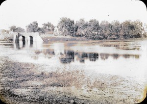 The road leading from the station to the town, Motihari, India, ca. 1906