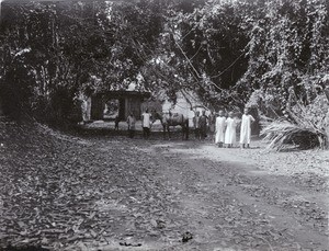 Town gate in Foumban, Cameroon