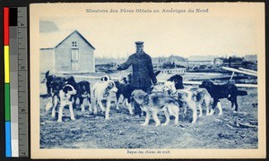 Man feeding sled dogs, Canada, ca.1920-1940