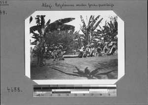 Men pulling tree stems, Mbozi, Tanzania