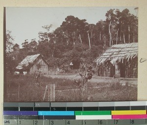 Forest houses, Madagascar, 1901